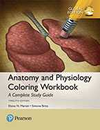 ANATOMY & PHYSIOLOGY COLOURING WORKBOOK: COMPLETE STUDY GUIDE GLOBAL e12