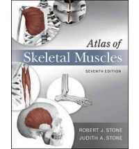 ATLAS OF SKELETAL MUSCLES e7